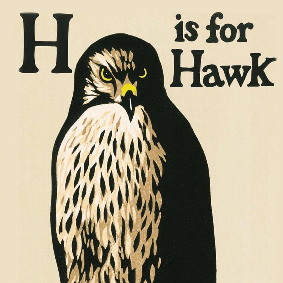 Award-winning memoirist Helen Macdonald's book H is for Hawk